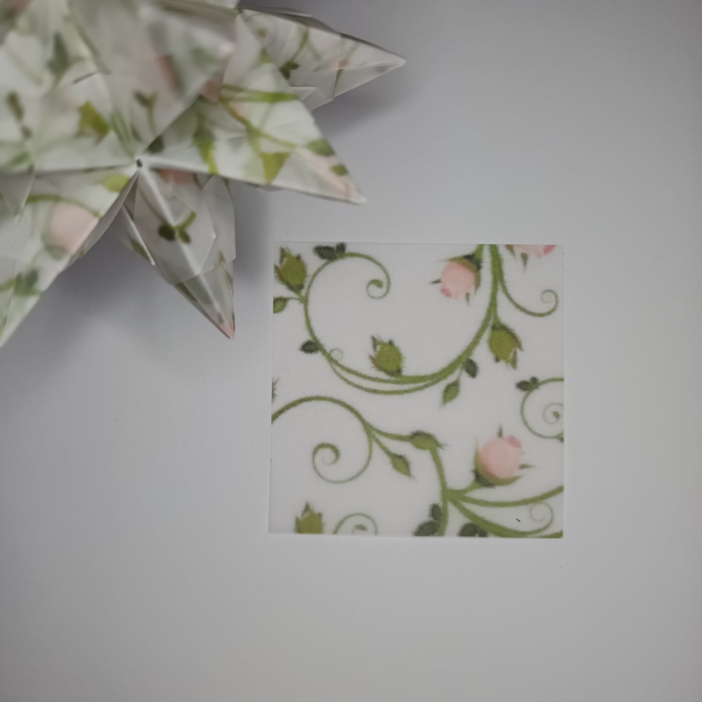 Transparentpapier Rosenranke