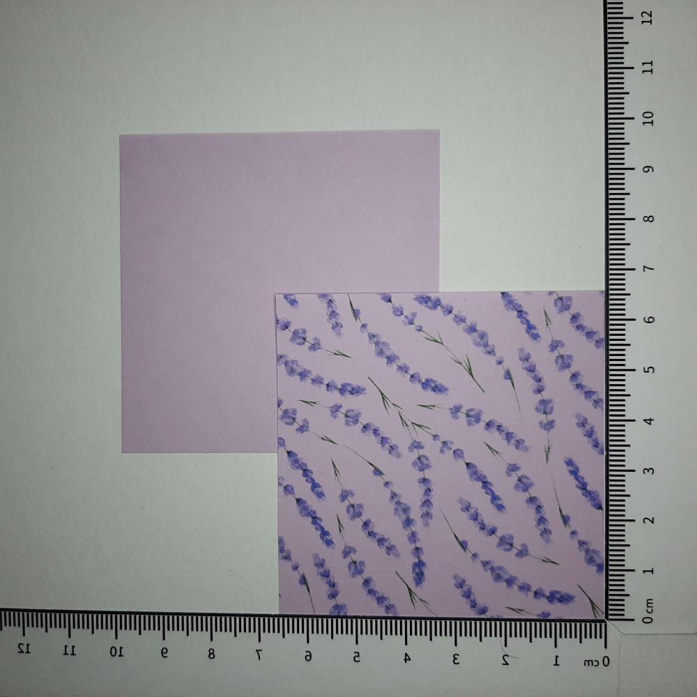 Motivpapier Lavendel