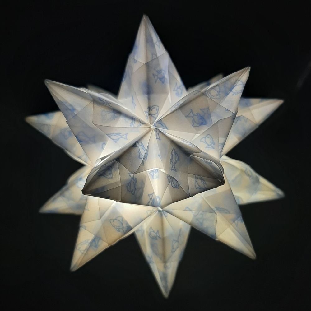 Transparentpapier Fisch