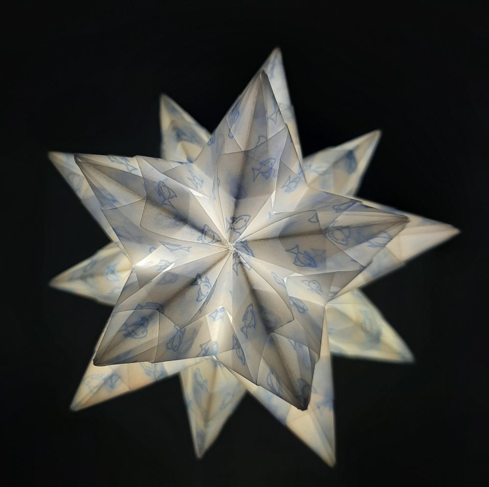 Transparentpapier Fisch