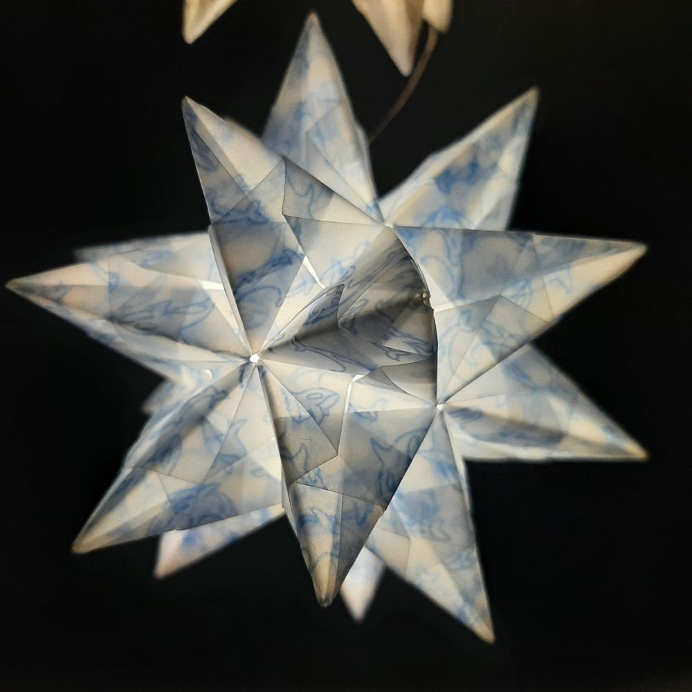 Transparentpapier Orca