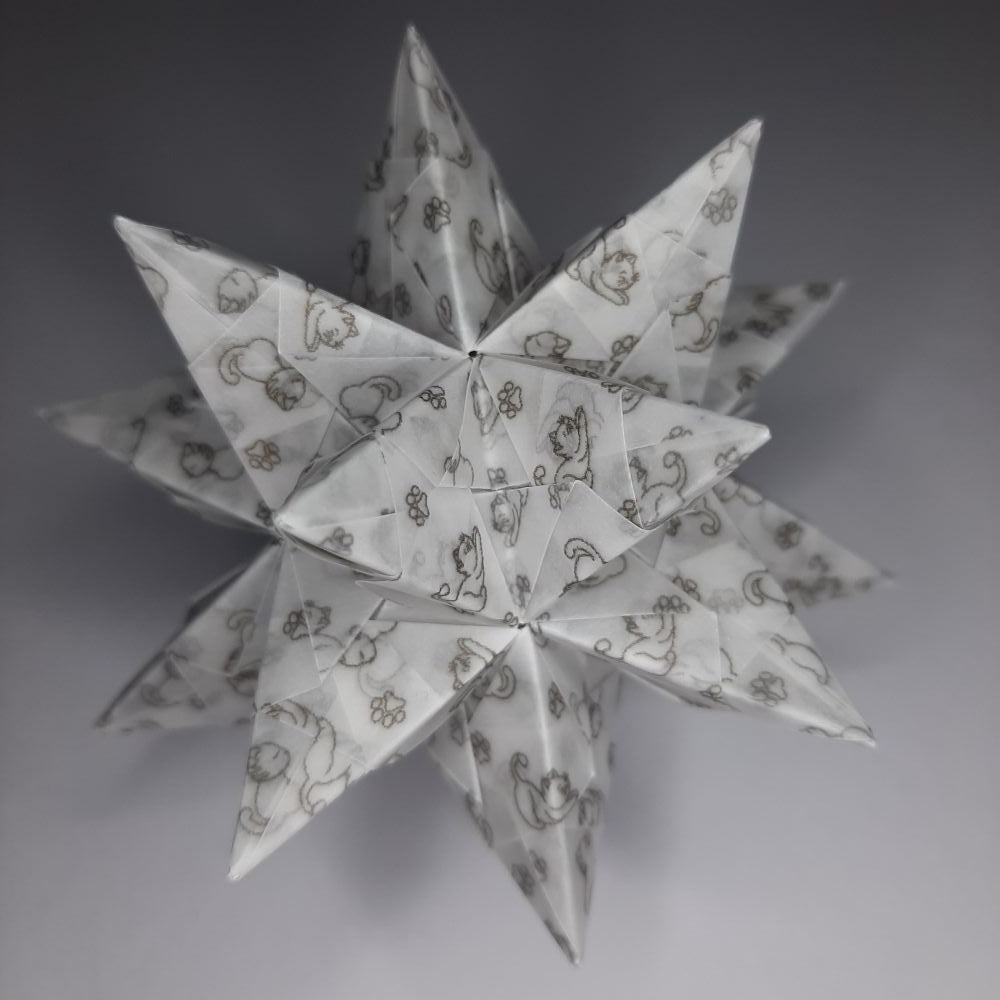 Bascettastern Katzen