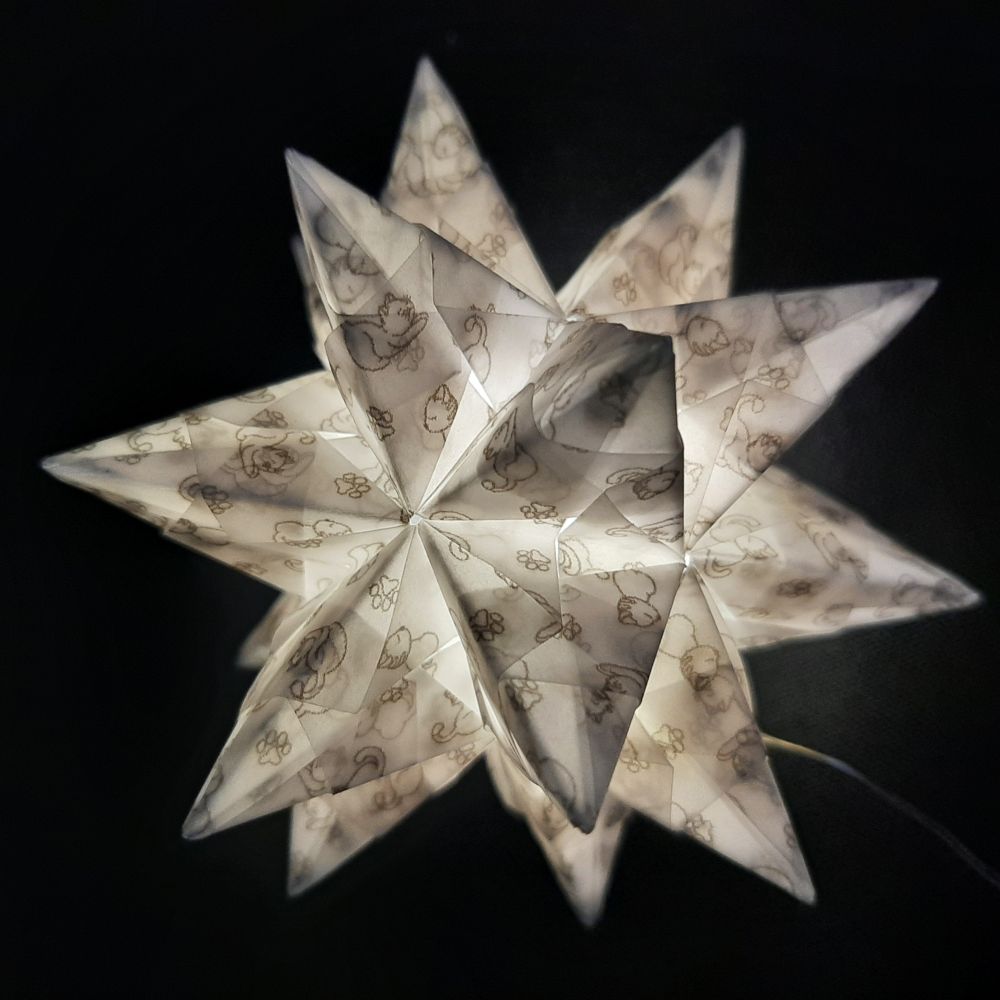 Transparentpapier Katze