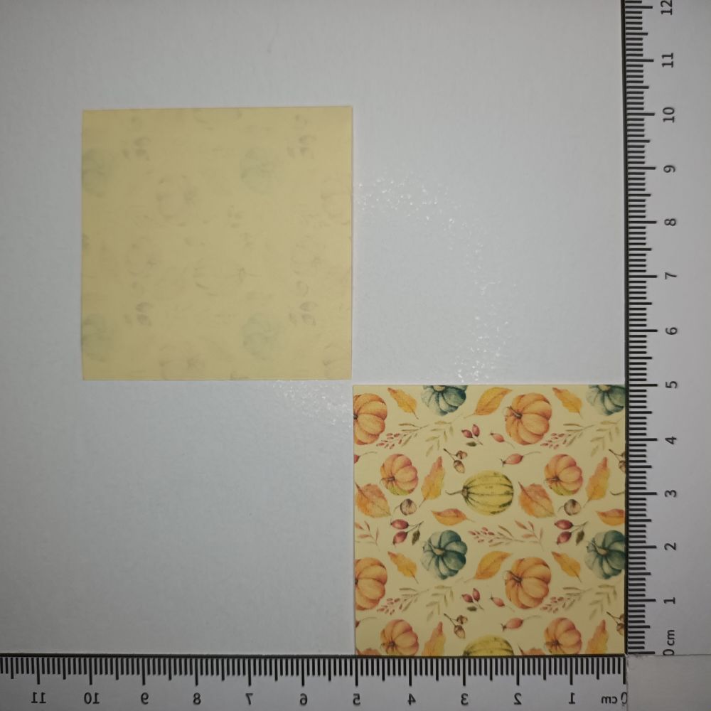 Motivpapier Herbst mit Kürbis