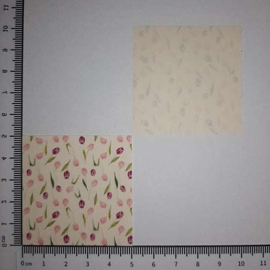 Motivpapier Tulpen