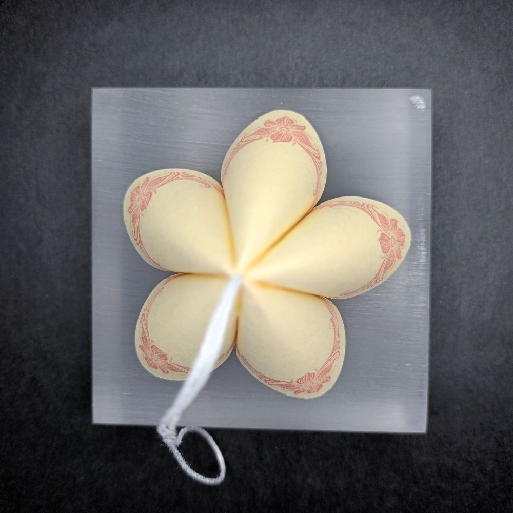 Motivpapier Eckenranke rot