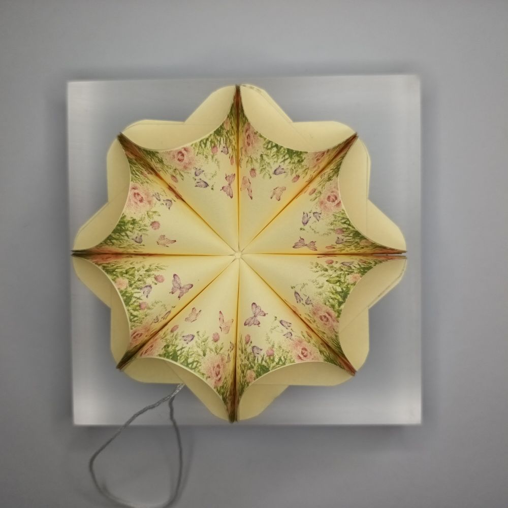 Motivpapier Schmetterlinge mit Blumenwiese